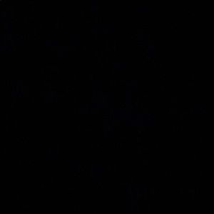 Meet your Posher, Penny